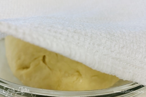 Собираем тесто в шар и отправляем в таз, смазанный растительным маслом. Раскатайте тесто со всех сторон в миске, чтобы оно было покрыто легким слоем масла, и накройте его влажной (не мокрой!) Тканью. Ставим в теплое место на 1-1,5 часа.