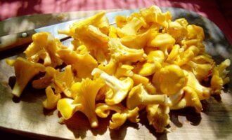 сколько варить лисички для супа замороженные. Смотреть фото сколько варить лисички для супа замороженные. Смотреть картинку сколько варить лисички для супа замороженные. Картинка про сколько варить лисички для супа замороженные. Фото сколько варить лисички для супа замороженные сколько варить лисички для супа замороженные. Смотреть фото сколько варить лисички для супа замороженные. Смотреть картинку сколько варить лисички для супа замороженные. Картинка про сколько варить лисички для супа замороженные. Фото сколько варить лисички для супа замороженные