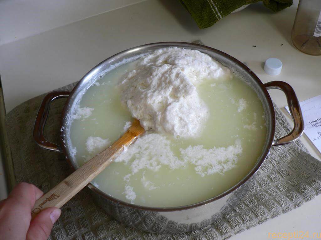Как делать из прокисшего молока сыр