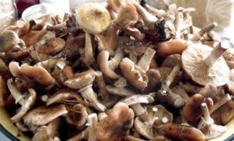 Cколько варить грибы