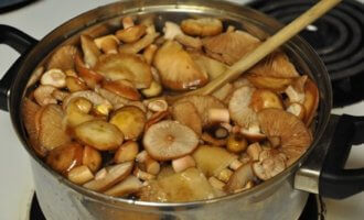 Как готовить грибы рядовки